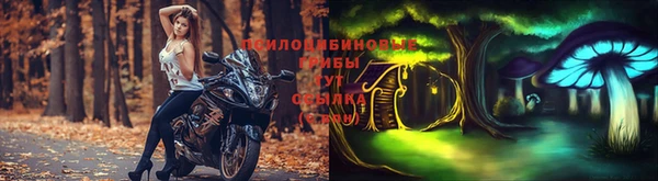 ALPHA PVP Володарск