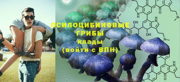 герыч Верхний Тагил